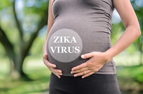 Zika Virus photo